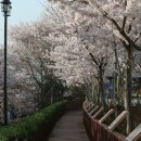 진해여자고등학교 이미지