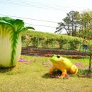 신성중학교 이미지