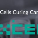 피앤이 바이오 이미지