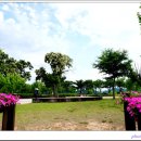 패랭이공원 이미지