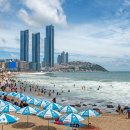 베스트올 제일 이미지