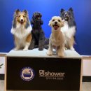 멍shower(멍샤워) 이미지