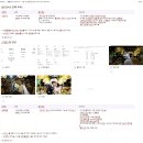 W4. 안양 위더스_가성비 본식 DVD 스냅스타 내돈내산 계약후기 (추천인 코드 공유)