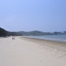 용두해수욕장숲속야영장 이미지