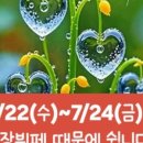 비건채식뷔페 빛가람