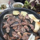 천년황칠원 네이버블로그