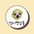 멍지펫살롱 이미지