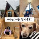 성주 가야산 생태탐방원 반려견동반 숙소 이용후기