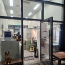 진이네 강아지풀 이미지