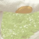 Lilian, daisy chain 이미지