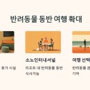 펫트렌드인터네셔널