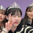 제주많은곰
