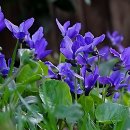 서울순플란트치과의원 이미지