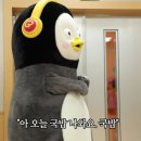꼬띠디앙 이미지