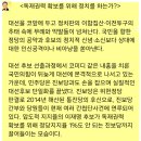 이철영 논평 : 진보당은 이석기 통진당 후신 이재명당, 하다 못해 진보당과 손잡고 표 구걸? 이미지