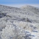 풍경버스 이미지