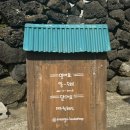 [책방마고] 제주 동쪽 구좌읍 감성책방 / 세화 독립서점 방문 후기📚 (블라인드북 구매)