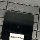 혼자왔짐 이미지