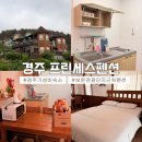 프린세스펜션 | [경북] 보문관광단지 근처 펜션 | 경주 프린세스 펜션 : 내돈내산 경주숙소추천