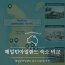영아일랜드 성인PC방 | 해밀턴 아일랜드 숙소 어디가 좋을까?｜리프뷰 호텔을 선택한 이유와 솔직 후기