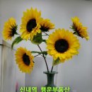 신내역프라디움더테라스아파트 이미지