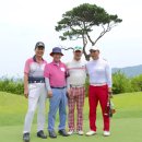 양명고등학교 이미지