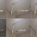 진소아 이미지