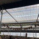 보석농장 | 제천 조아저씨네 다육농장 겨울에 가도 따뜻한 온실 식물 구경, 가족 나들이 후기