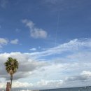 노신 | [신혼여행] 스페인 바르셀로나 가우디 핵심 버스투어 후기/노신신가이드님 추천!