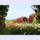 곡성-044 이미지