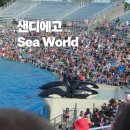 씨월드 | LA 근교 여행 샌디에고 씨월드 후기｜투어로 가면 훨씬 편한 코스