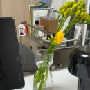 서해그린슈퍼 | 4월 : 치악산 복숭아 당도 최고