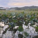 무왕주유소 이미지