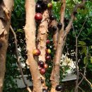 먹이창고 이미지