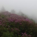 한옥마을 화장실 이미지