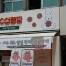 여수 딸기야 모찌 이미지