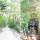 ***교리삼거리(우)(동부리 15-5) | 일제가 휩쓴 지심도…다크투어리즘 명소로 거듭나야