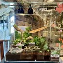 송정금강어린이집 30m 경계 | 울산 근처 동물원 핫플 아이랑 갈만한 곳 헬로우쥬