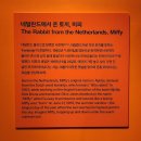 2학기(3월~6월) / 우쿨렐레(수-19시) | [서울 가볼만한곳] 실내 데이트 아이와 함께 가기 좋은 전시 추천 미피와 마법우체통 인사동 놀거리