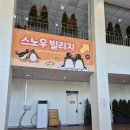 우리빌리지 | “평창휘닉스파크 패키지, 이건 꼭 알고 가세요! 우리 가족이 겪은 현실 후기” 현재 스노우빌리지 상태