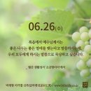 2024/6/26/연중 제12주간 수요일 이미지