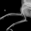 여수동물병원 이미지