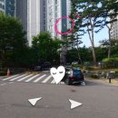 해담동물병원 | 고양이 방광염 재발(24시 명 동물메디컬센터, 해담동물병원)