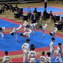 용인대 석사 타이거즈 태권도장 이미지