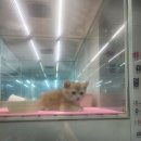 김소율샵 이미지