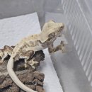 크레산도 - 수성구 알파시티2로3길 48-11 | 크레산도