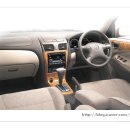 블루버드 이미지