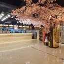 앤유PC방 이미지