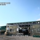 원조사천냉면 이미지