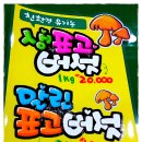 세종피오피 이미지